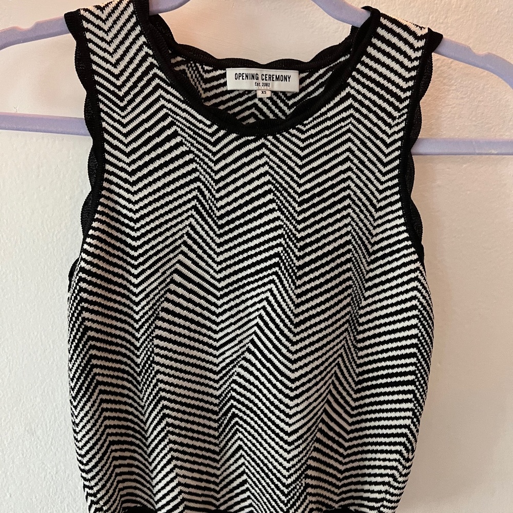 Opening Ceremony Optic Lines Black and White cropped top